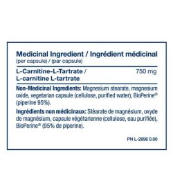 Medicinal ingredients panel of PVL Carnitine for serving size of 1 capsule shown with blue text in white background