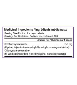Medicinal ingredients panel of SD Pharmecuticals Creatine HCL for a serving size of 1 scoop with 120 servings per container