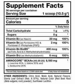 Supplement facts and ingredients panel of Allmax Nutrition Aminocore Natural for serving size of 1 scoop (10.5 g) with 36 servings per container