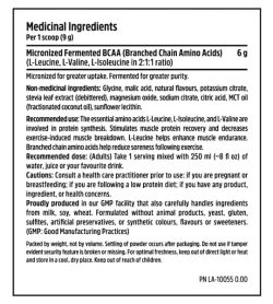 Medicinal ingredients panel of North Coast Naturals Fermented BCAA serving size 1 scoop (9 g)
