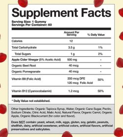Ingrédients et informations sur les suppléments pour les gommes au vinaigre de cidre de pomme Goli Nutrition