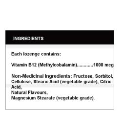Ingredients panel of NOW Brain b-12 1000 mcg methylcobalamin